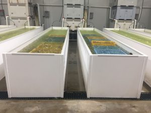 Viking Plastics aquaculture tanks